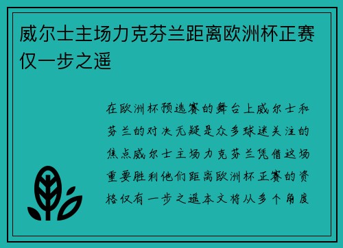 威尔士主场力克芬兰距离欧洲杯正赛仅一步之遥 威尔士主场力克芬兰距离欧洲杯正赛仅一步之遥